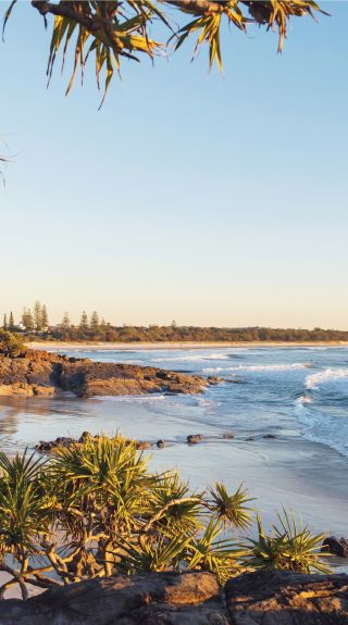 Surfing at Cabarita Beach, Northern Rivers